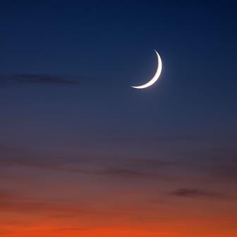 ���� ����� ������� ������� ��������� ���� ���� ���� ��� ����� 1447��